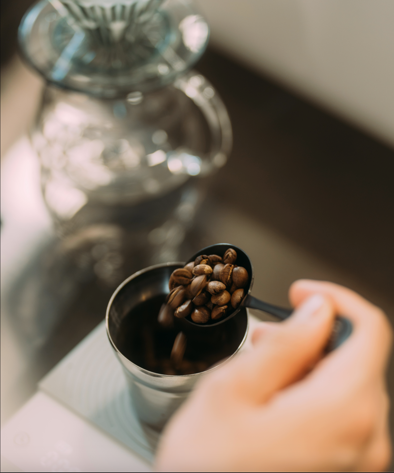 How to Brew the Perfect Cup of Speciality Coffee at Home with Muse Coffee Roaster