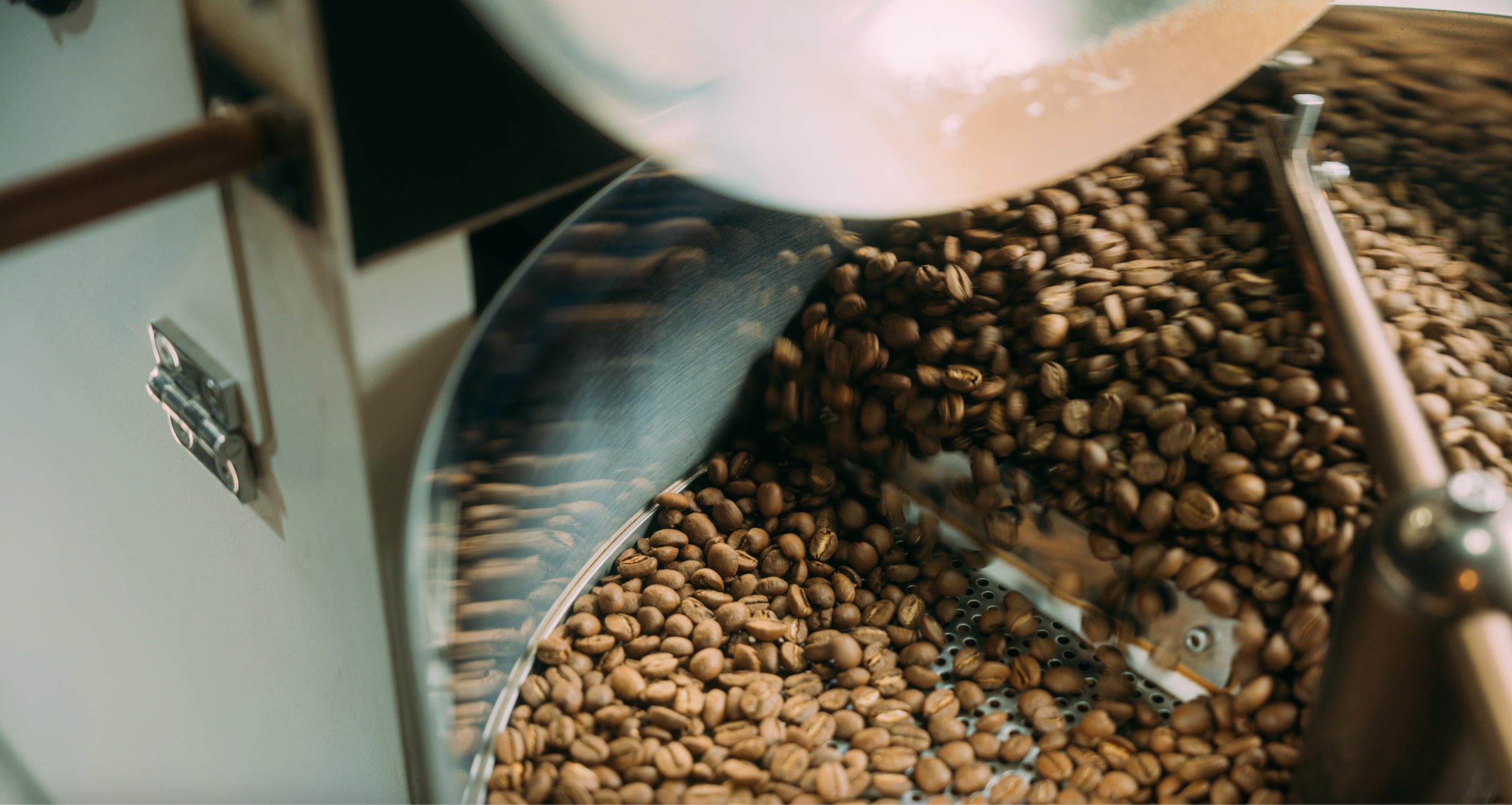 The Art of Coffee Roasting: From Bean to Cup and the Journey of Flavour at Muse; Coffee Roaster