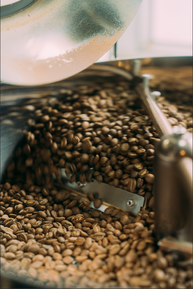 How to Properly Store Coffee Bean and Preserve Freshness: Tips from Muse Coffee Roaster