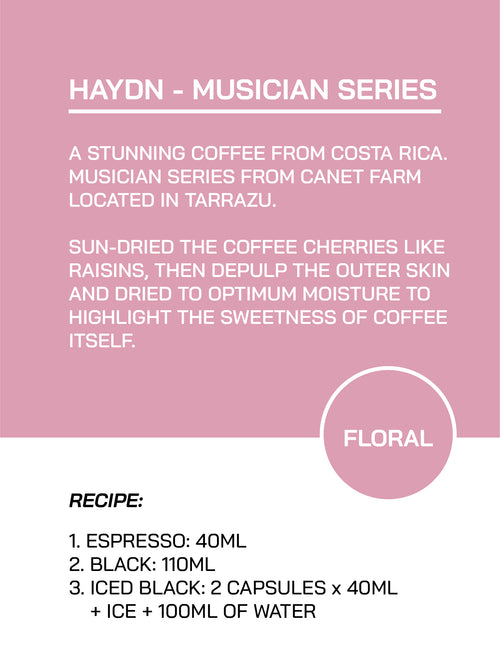 Capsule 07｜Haydn - Musician Series｜Floral