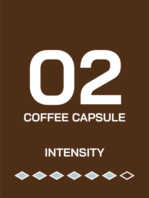 Capsule 02｜Golden Manba｜Choco