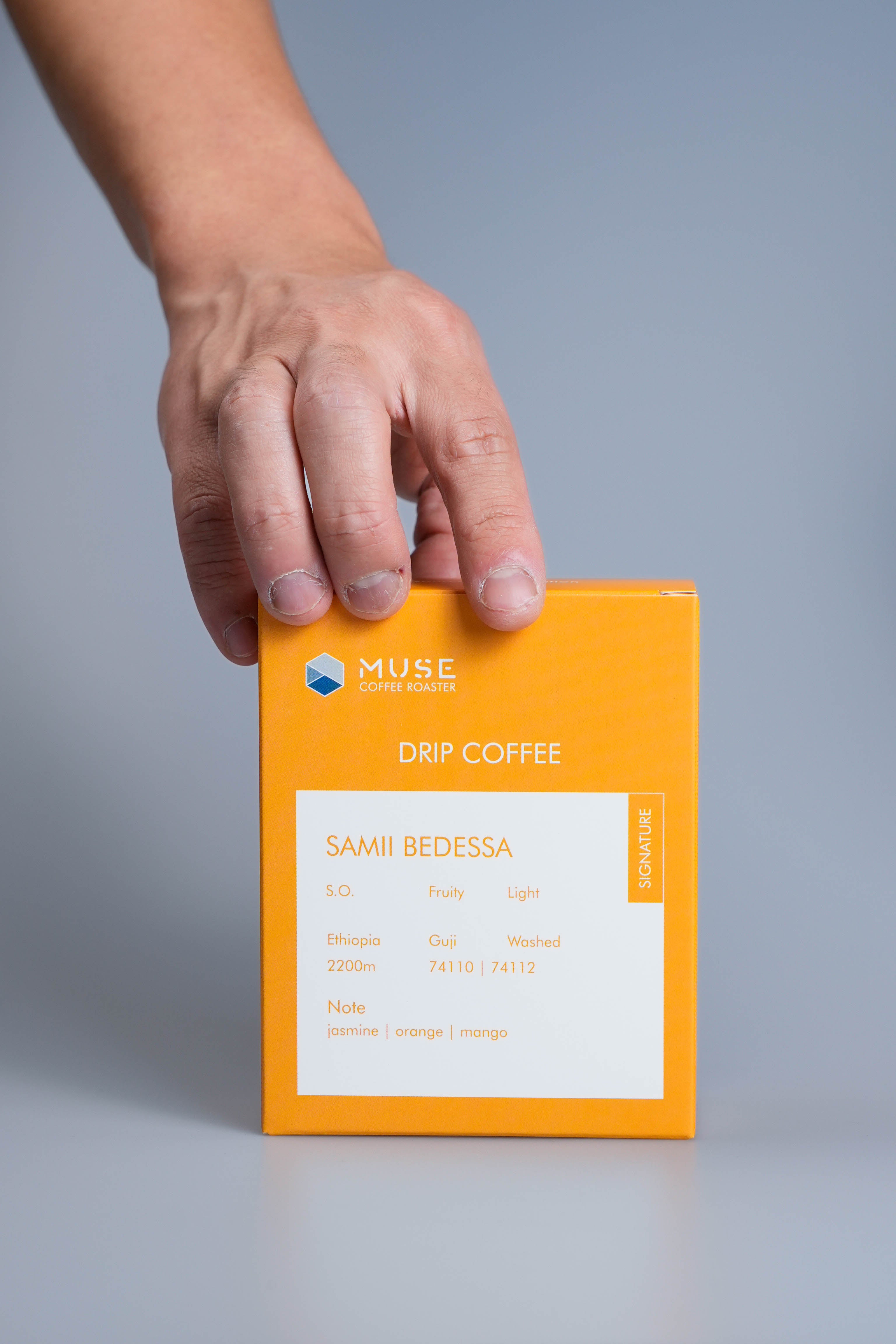 Drip Bag | Ethiopia | Samii Bedessa | Washed Process | Light