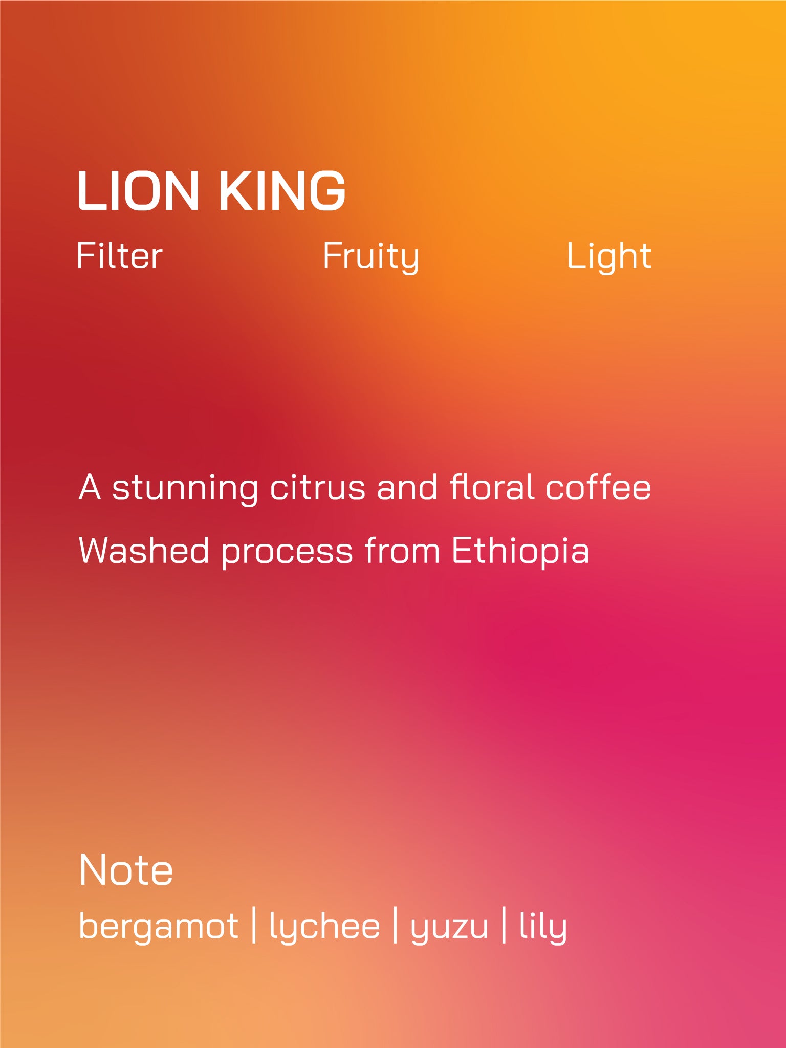 Filter | Ethiopia | Sidamo | Lion King | Washed Process | Light