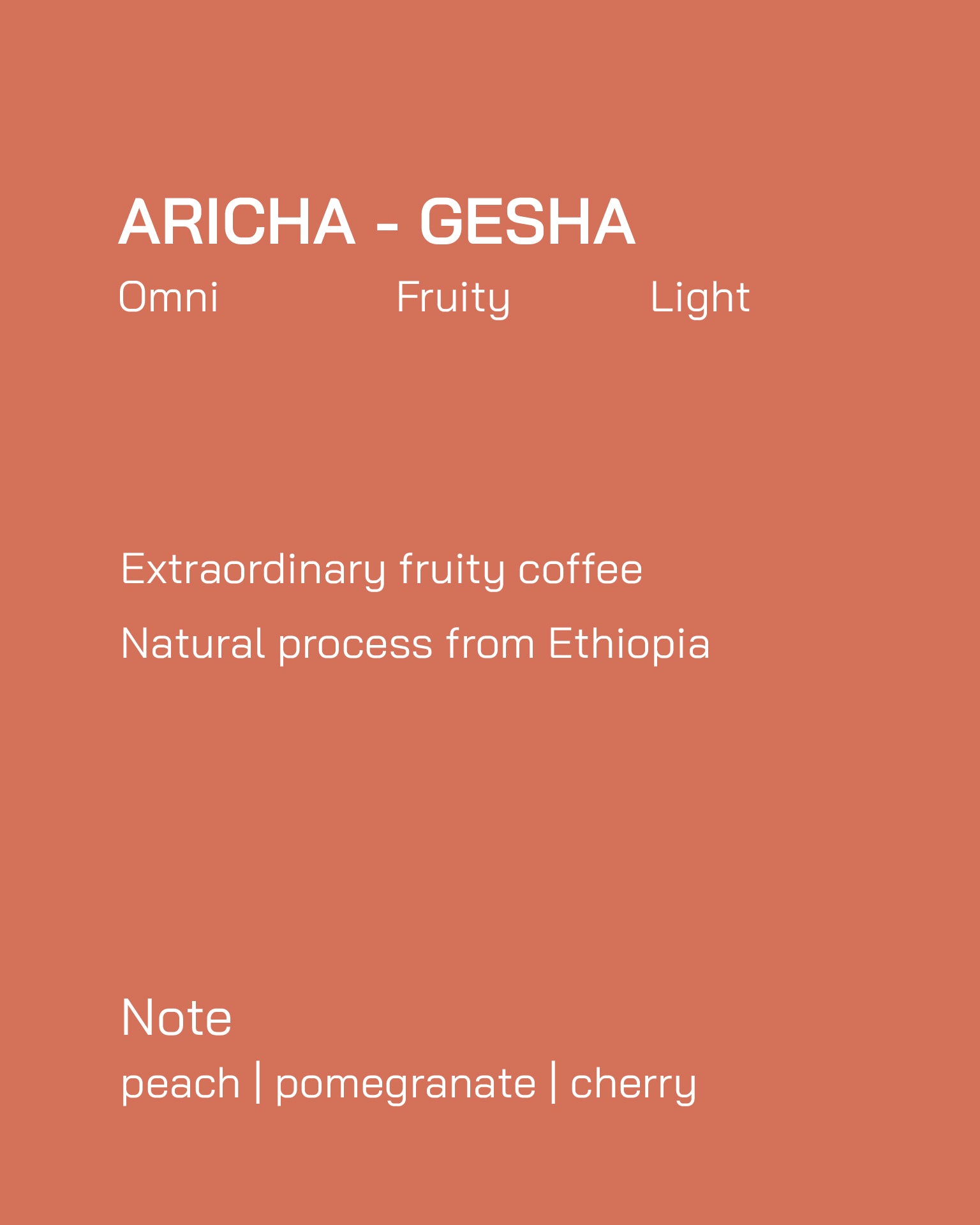 Omni | Ethiopia | Aricha | Natural Process | Light