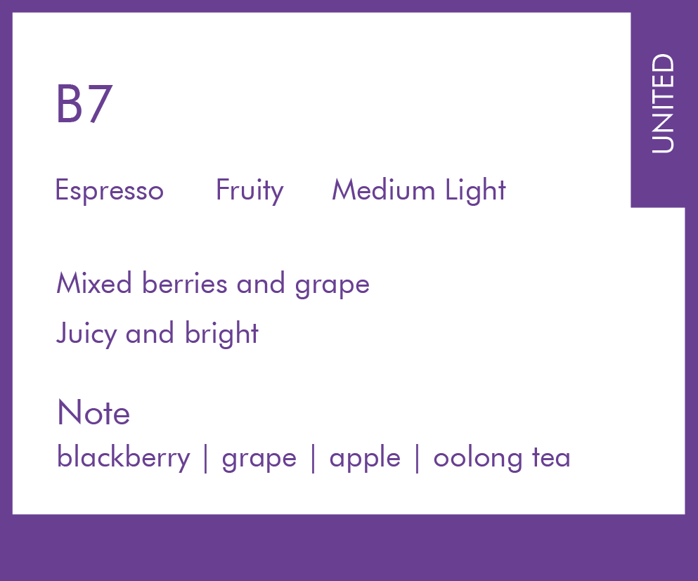 Espresso Blend | B7 | Fruity | Medium Light