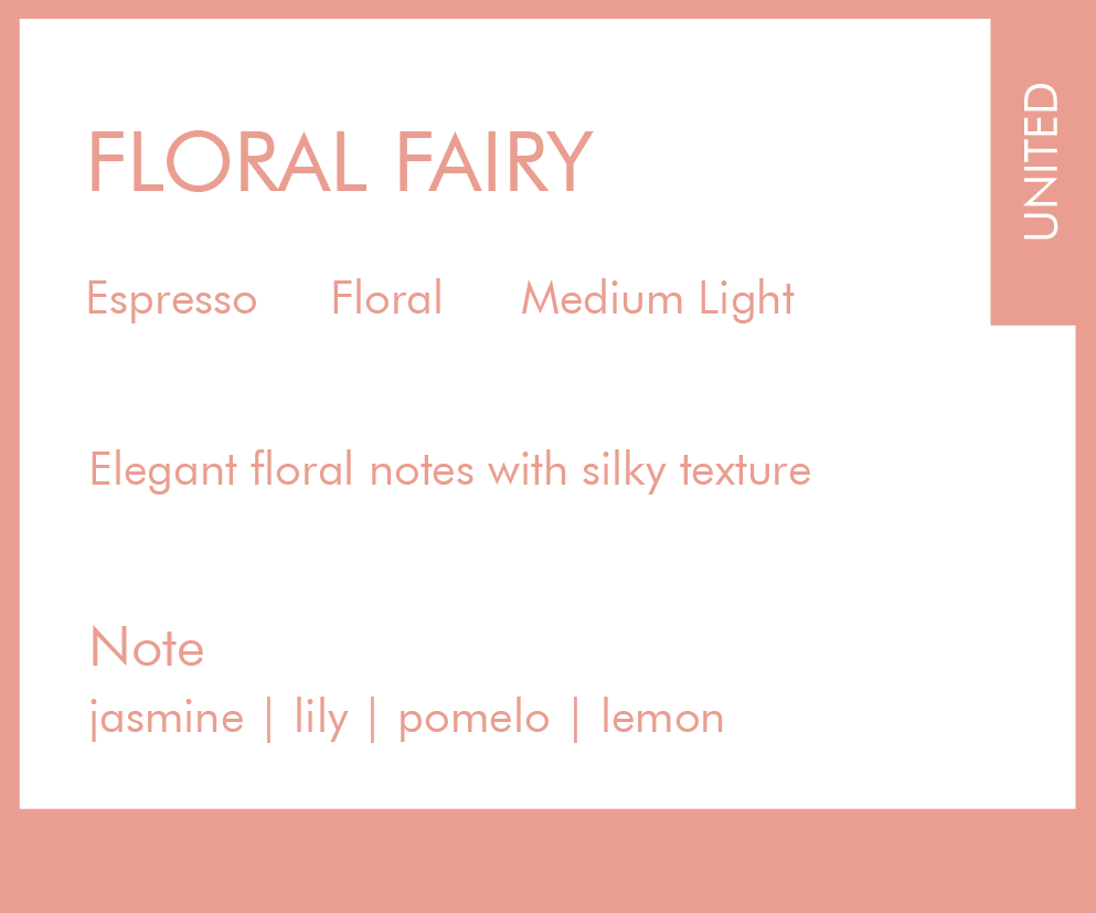 Espresso Blend | Floral Fairy | Floral | Medium Light