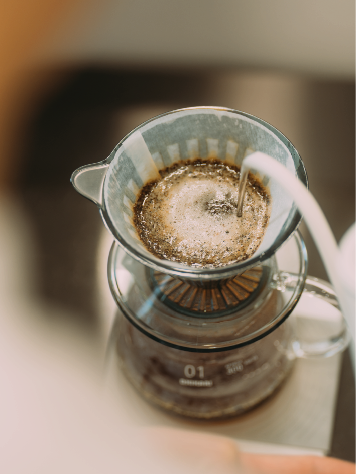 Filter | Colombia | La Luisa | Lychee Honey Process | Light