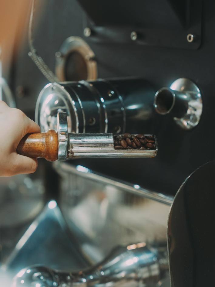 Drip Bag | Costa Rica | Mozart | Raisin Honey Process | Light