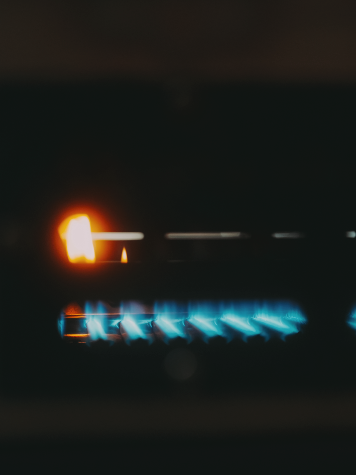 Unroasted | Green Bean | Honduras | Masaguara | Brandy Barrel Aged