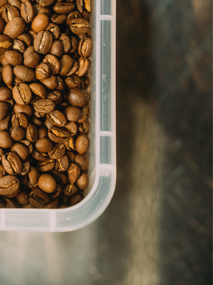 Omni | Ethiopia | Aricha | Natural Process | Light